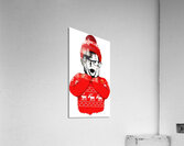 Home Alone 39 Acrylic Print