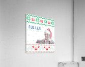 Home Alone 46 Acrylic Print