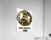 Home Alone 10 Acrylic Print