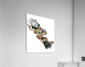 Kingdom Hearts 36 Acrylic Print