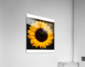 Lacuna Coil 54 Acrylic Print