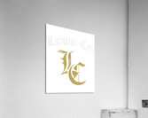 Lacuna Coil 62 Acrylic Print