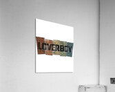 Loverboy 16 Acrylic Print