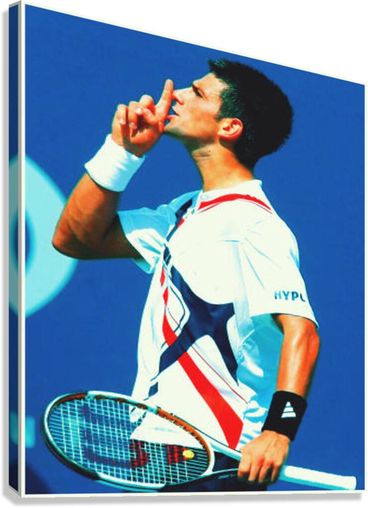novak djokovic Canvas Print