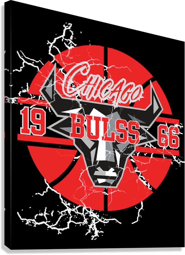 chicago bulls Canvas Print