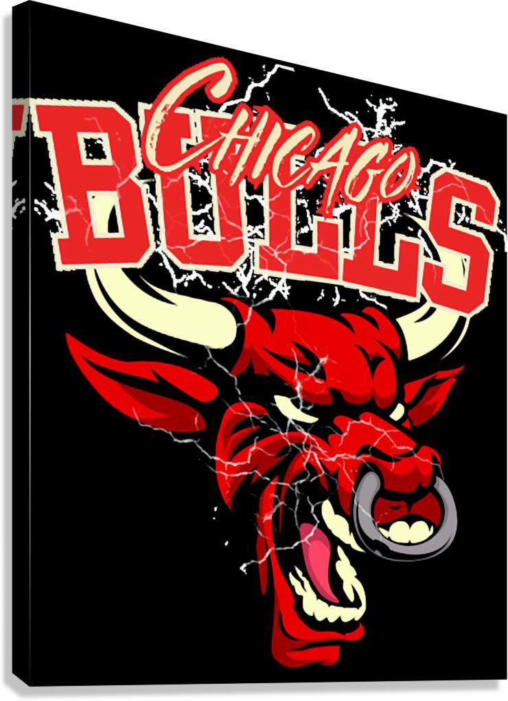 chicago bulls Canvas Print