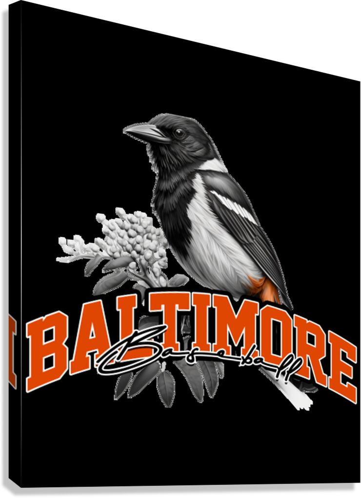 Baltimore Orioles 39 Canvas Print