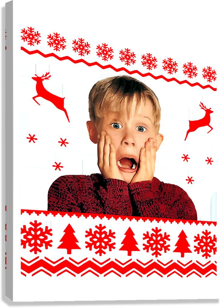 home alone 18 Canvas Print