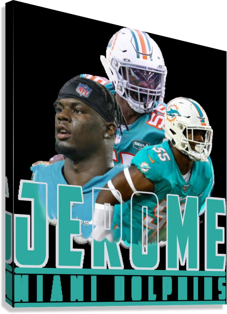 miami dolphins 5 Canvas Print