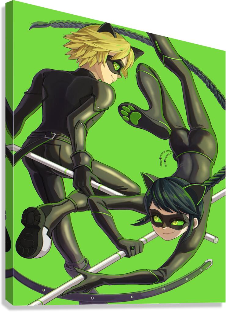 Miraculous 28 Canvas Print