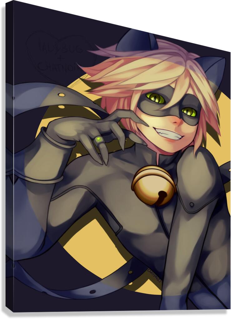 Miraculous 32 Canvas Print