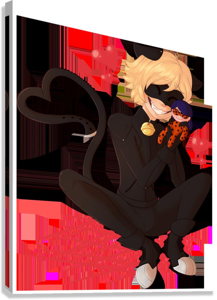 Miraculous 38 Canvas Print