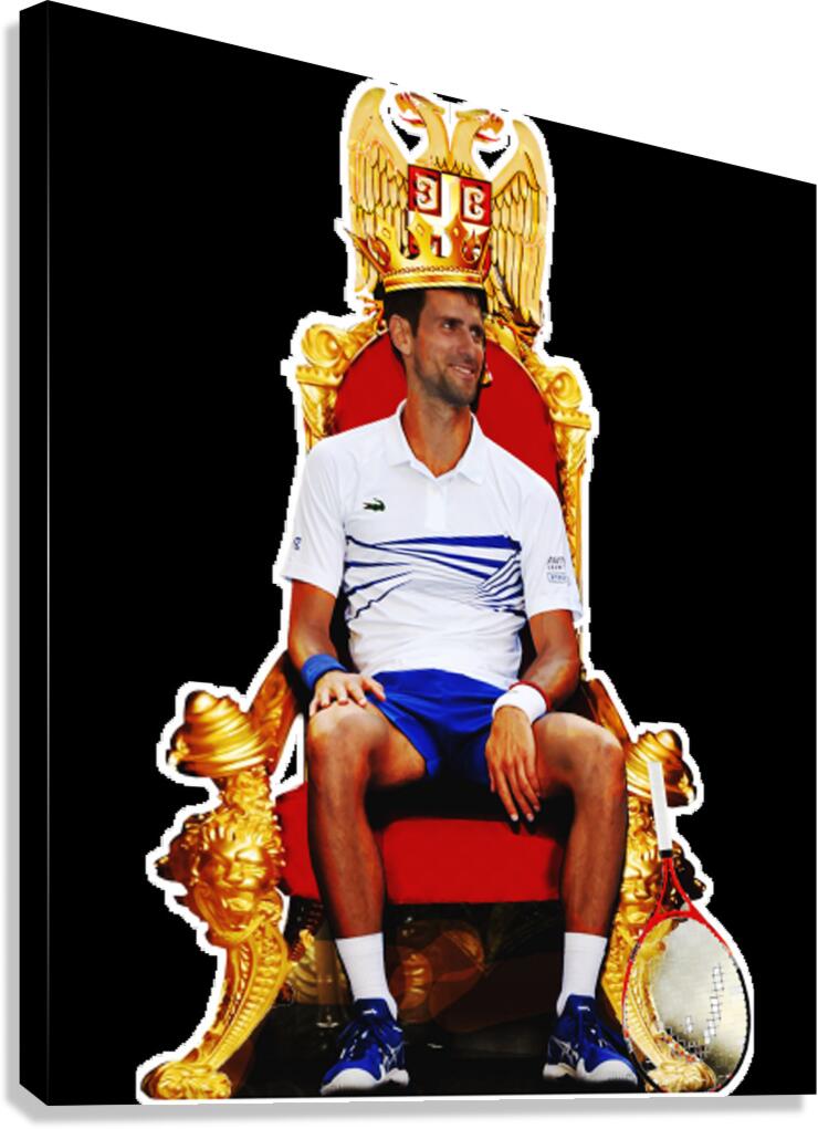 novak djokovic 26 Canvas Print
