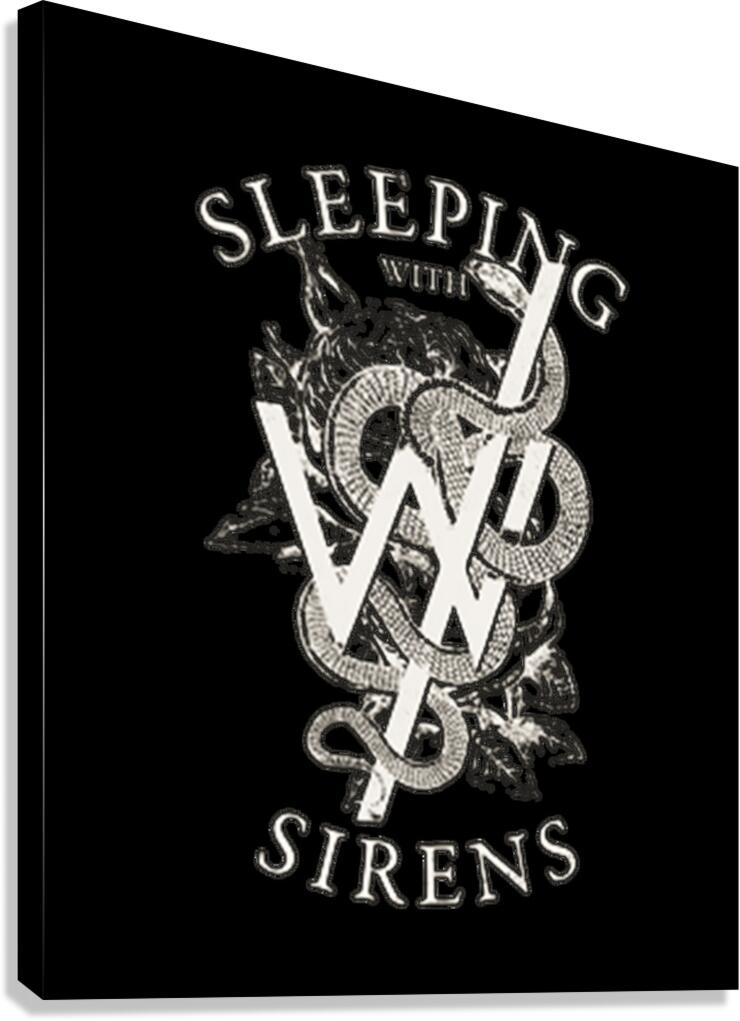 sleeping with sirens 20 Canvas Print