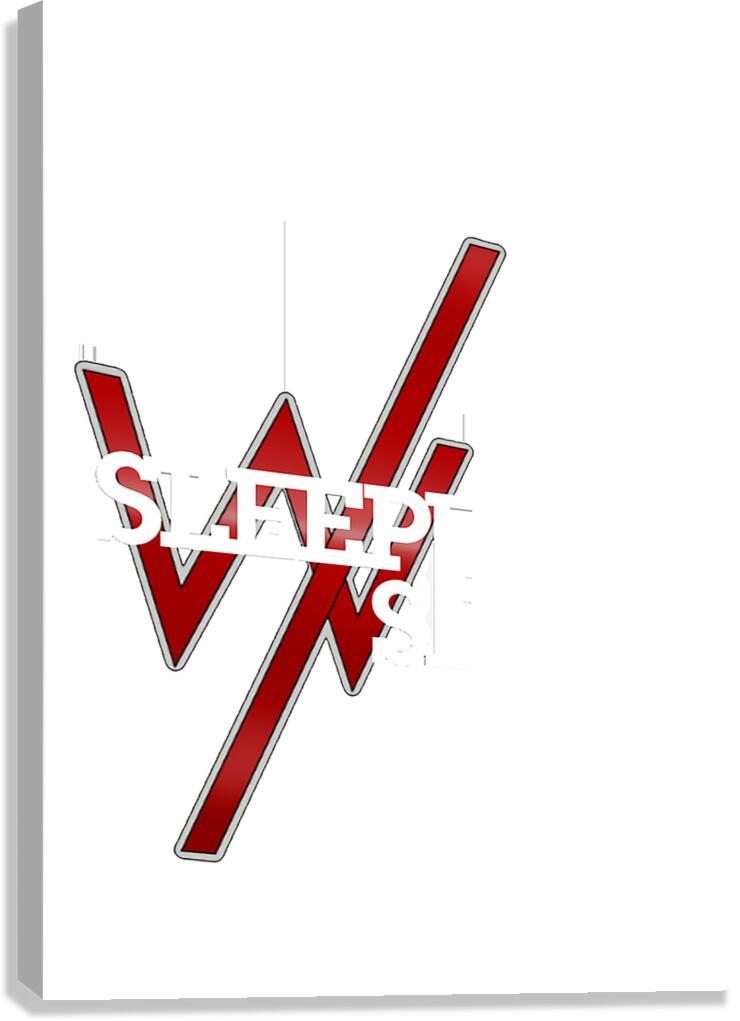 sleeping with sirens 38 Canvas Print