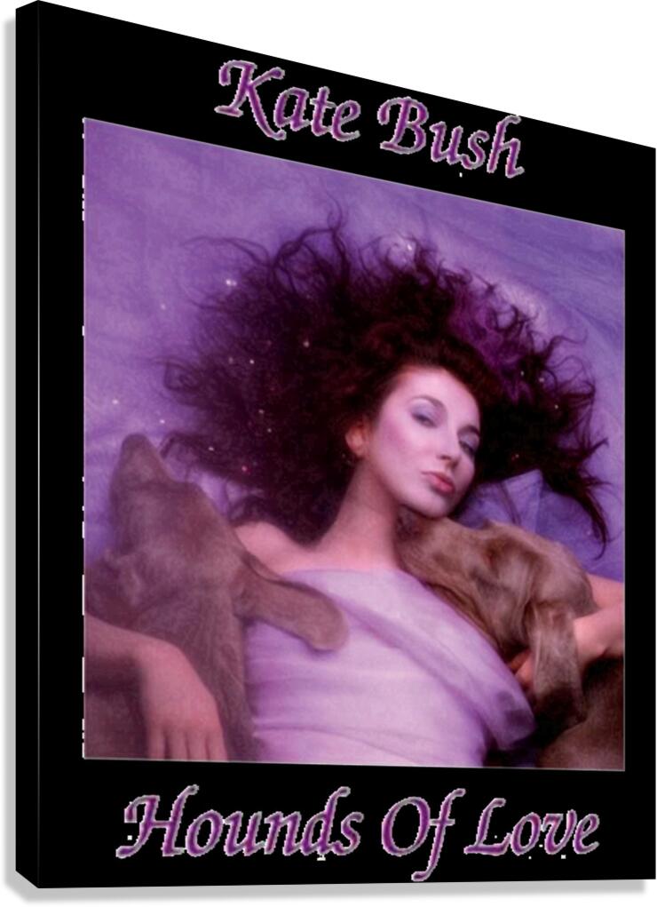 Kate Bush 4 Canvas Print