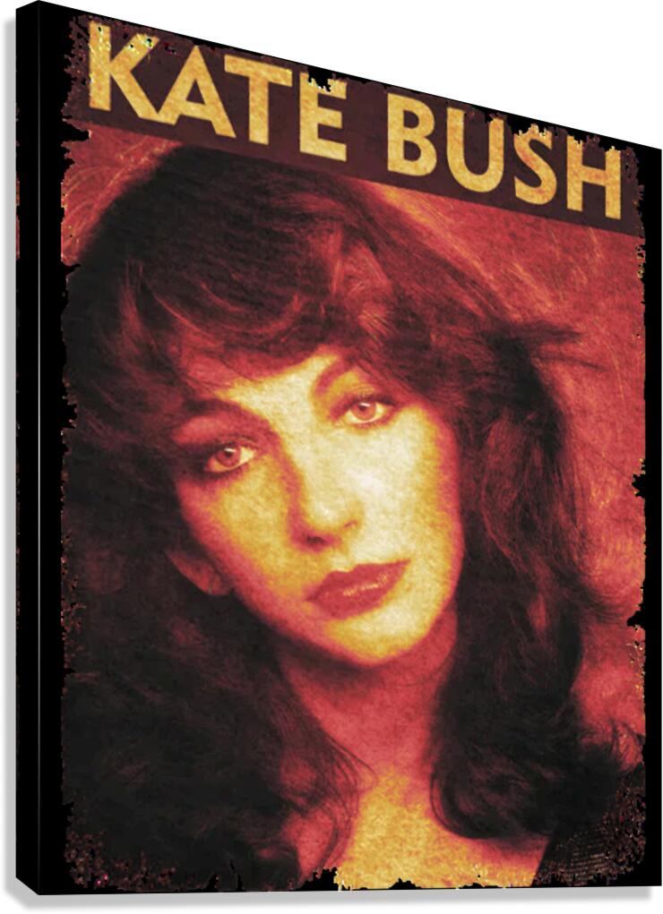 Kate Bush 25 Canvas Print