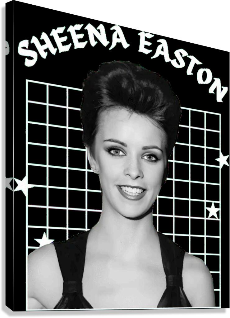 Sheena Easton 24 Canvas Print
