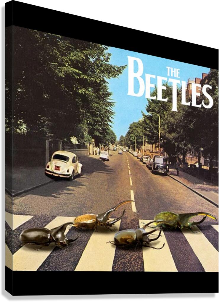 The Beatles 32 Canvas Print