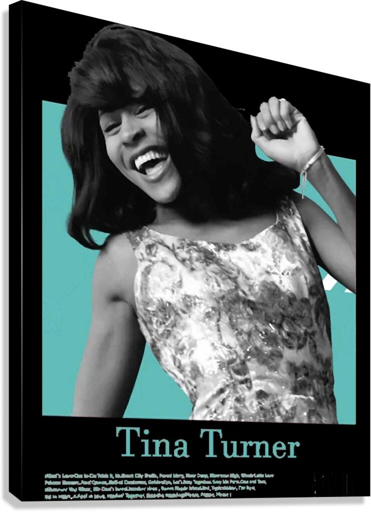 Tina Turner 7 Canvas Print