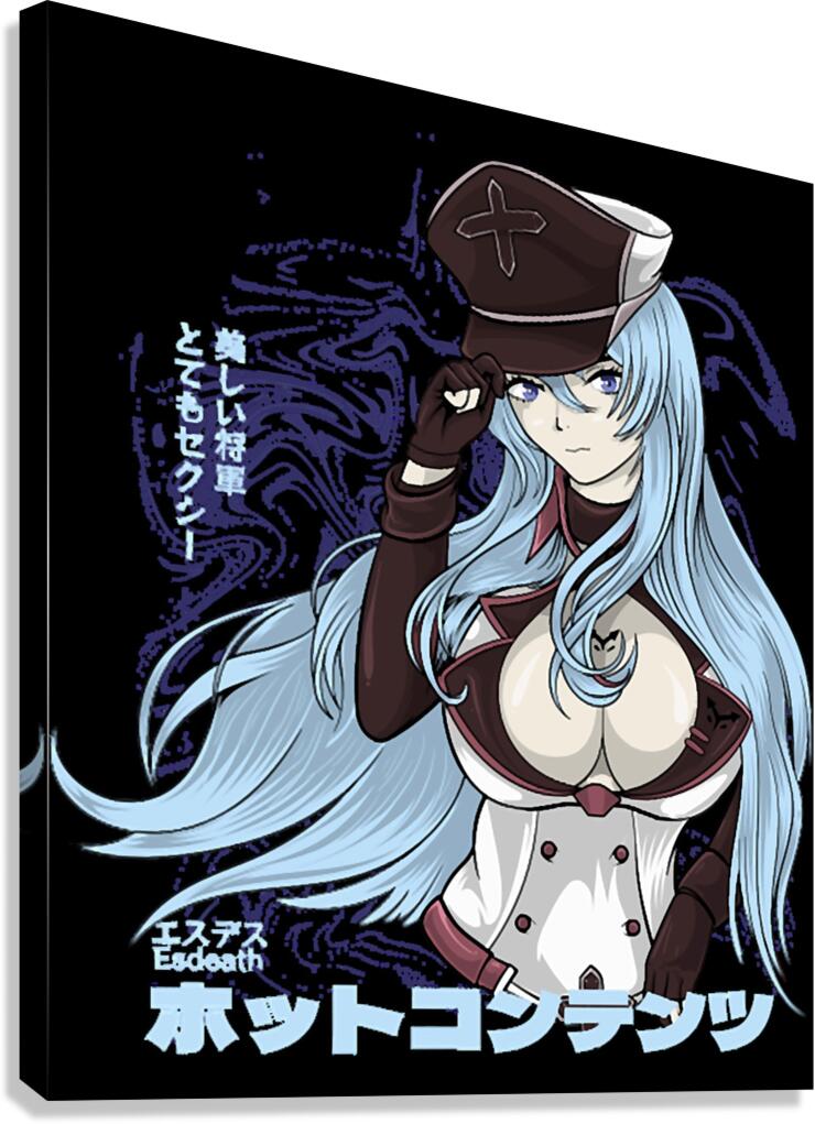 Akame ga Kill 9 Canvas Print