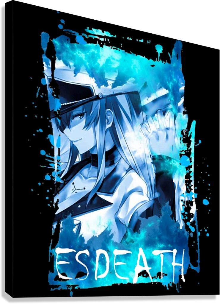 Akame ga Kill 25 Canvas Print