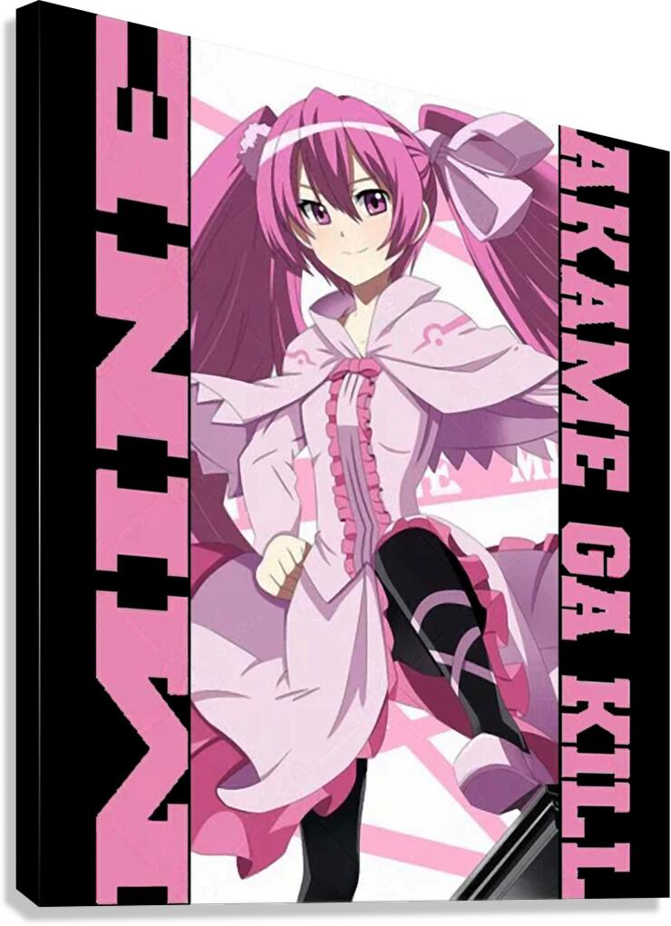 Akame ga Kill 63 Canvas Print