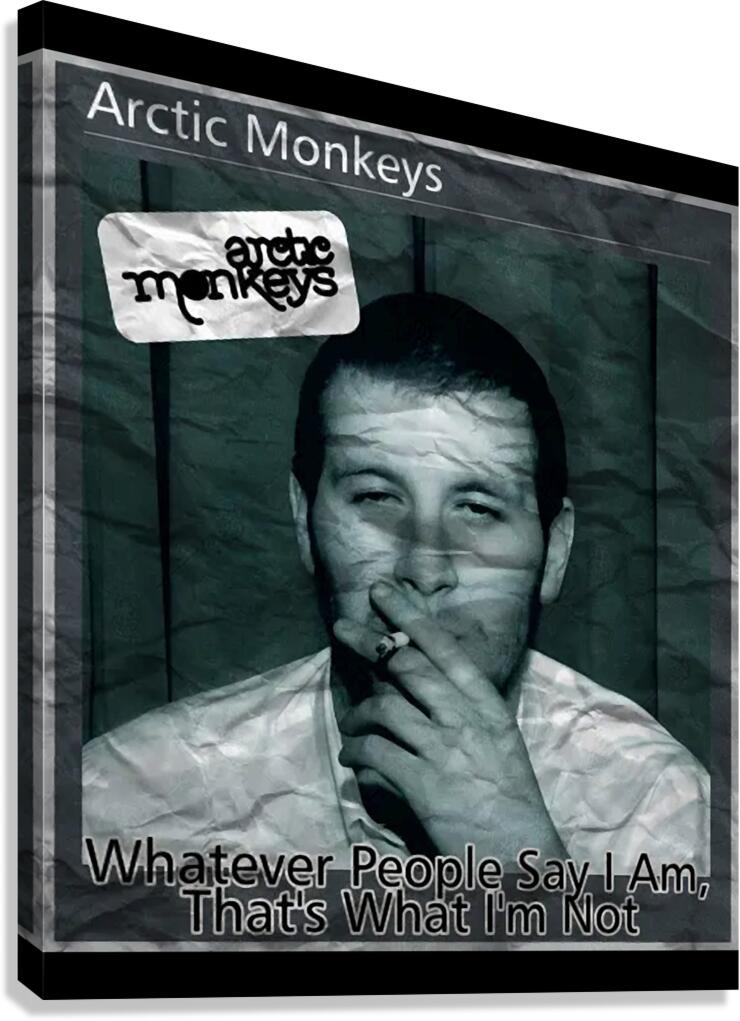 Arctic Monkeys 43 Canvas Print