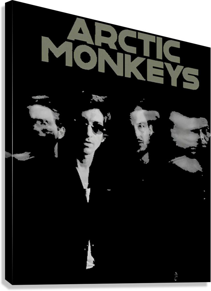 Arctic Monkeys 44 Canvas Print