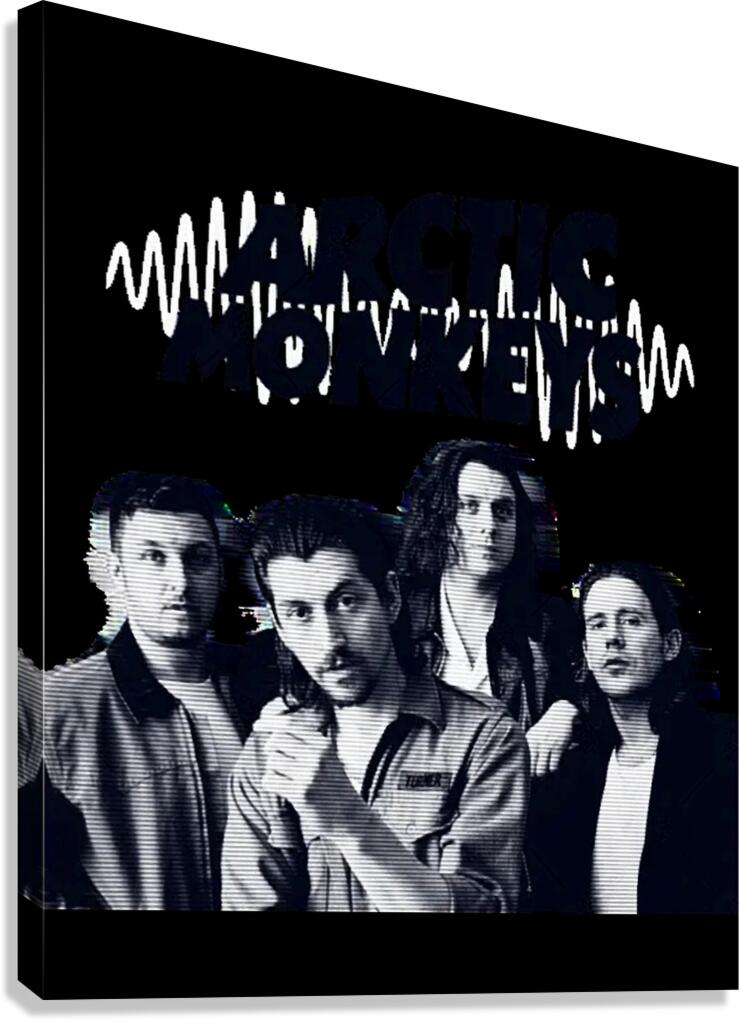 Arctic Monkeys 57 Canvas Print
