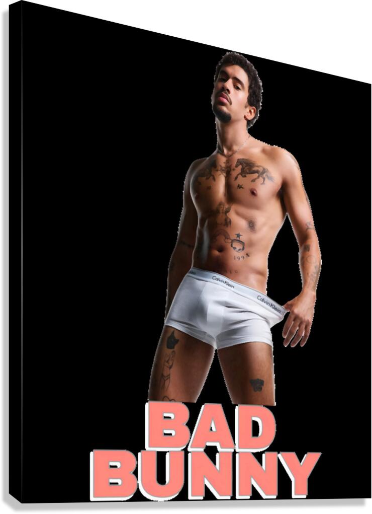 Bad Bunny 22 Canvas Print