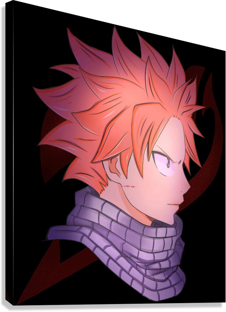Fairy Tail 35 Canvas Print