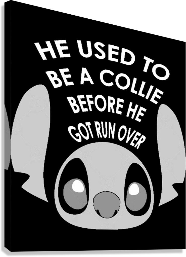 Lilo & Stitch 29 Canvas Print