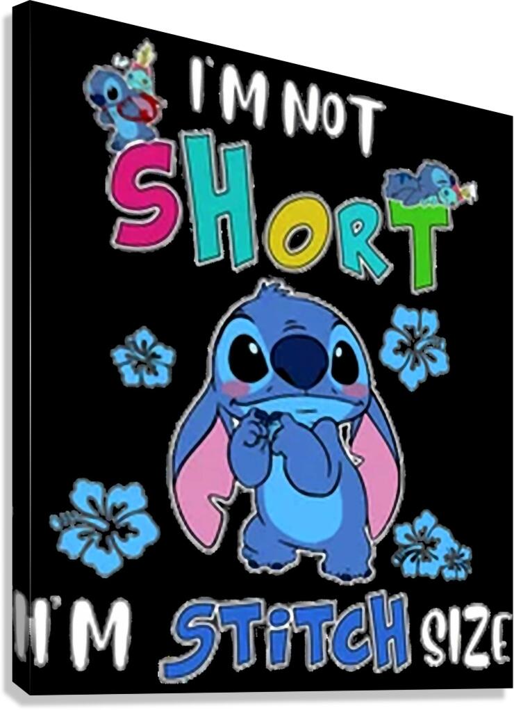 Lilo & Stitch 33 Canvas Print
