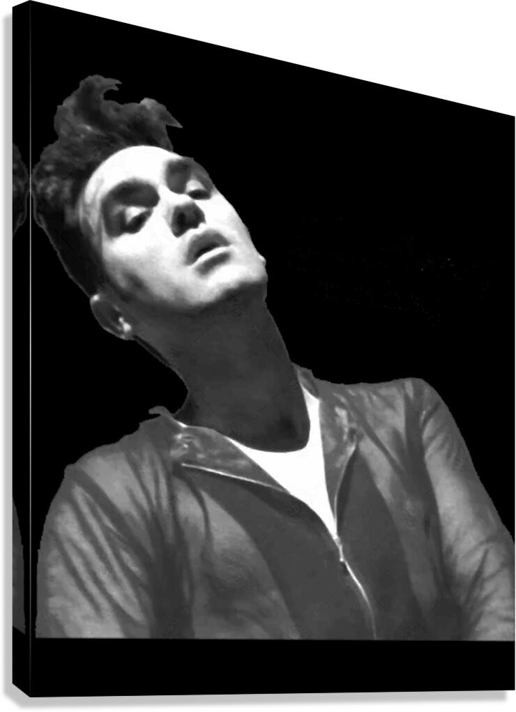 Morrissey 6 Canvas Print