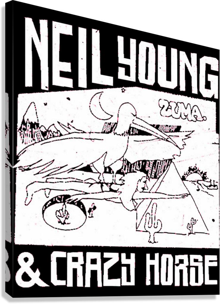 Neil Young 29 Canvas Print