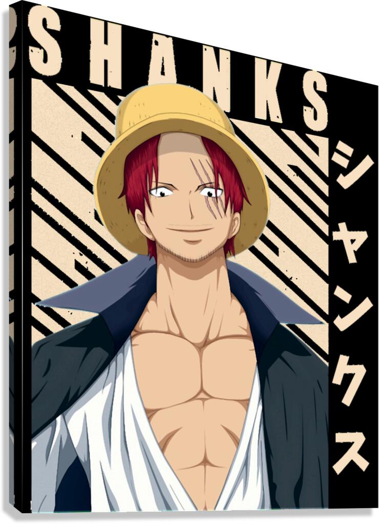 One Piece 25 Canvas Print