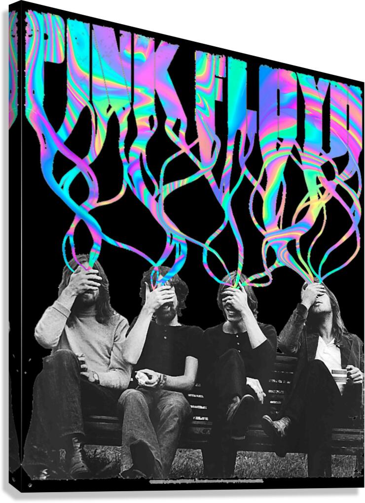 Pink Floyd 23 Canvas Print