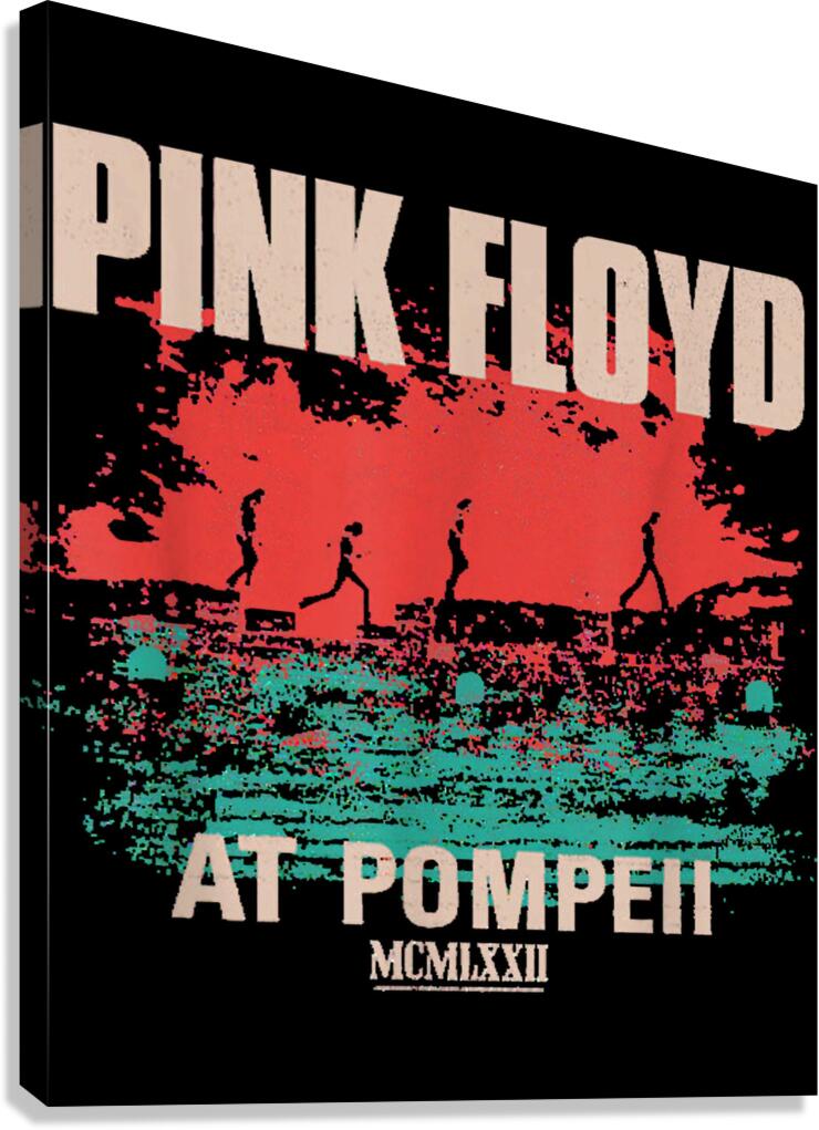 Pink Floyd 46 Canvas Print