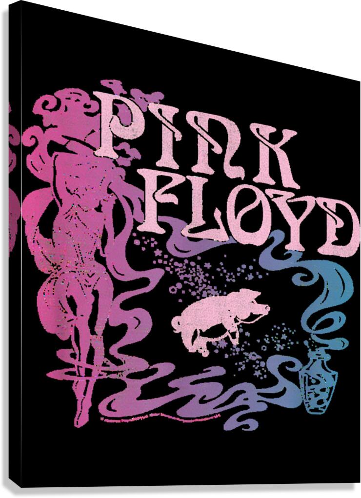 Pink Floyd 22 Canvas Print