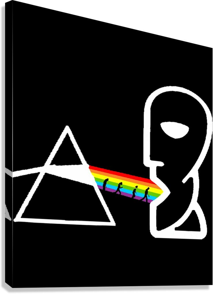 Pink Floyd 36 Canvas Print