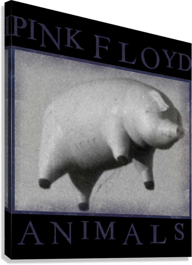 Pink Floyd 40 Canvas Print