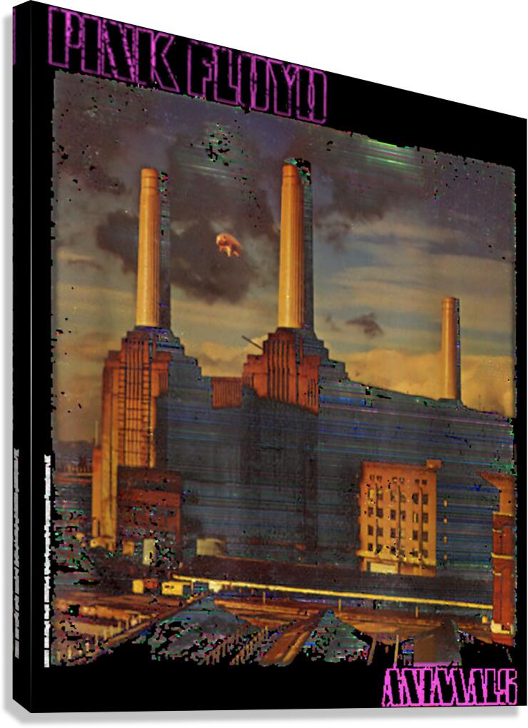 Pink Floyd 41 Canvas Print