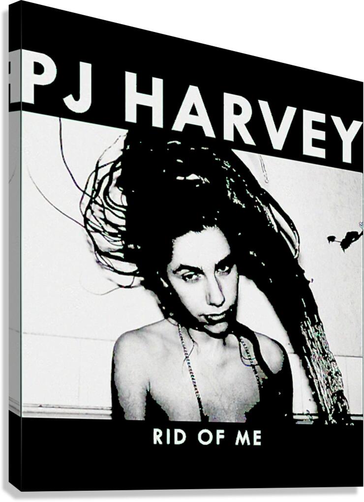 PJ Harvey 39 Canvas Print