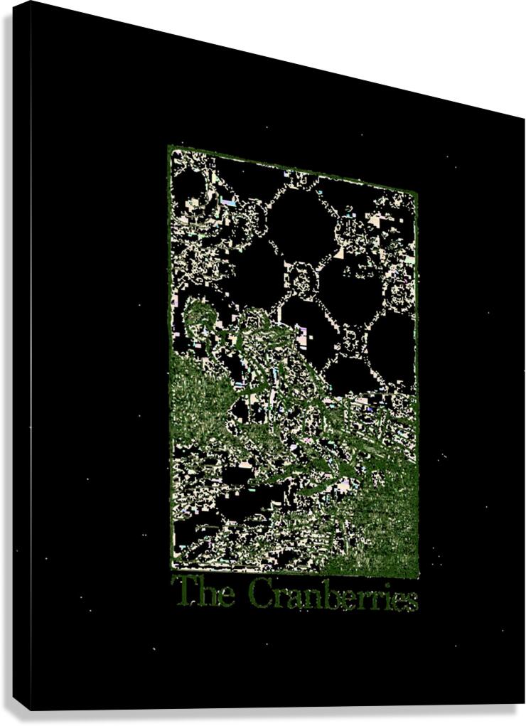 The Cranberries 26 Canvas Print
