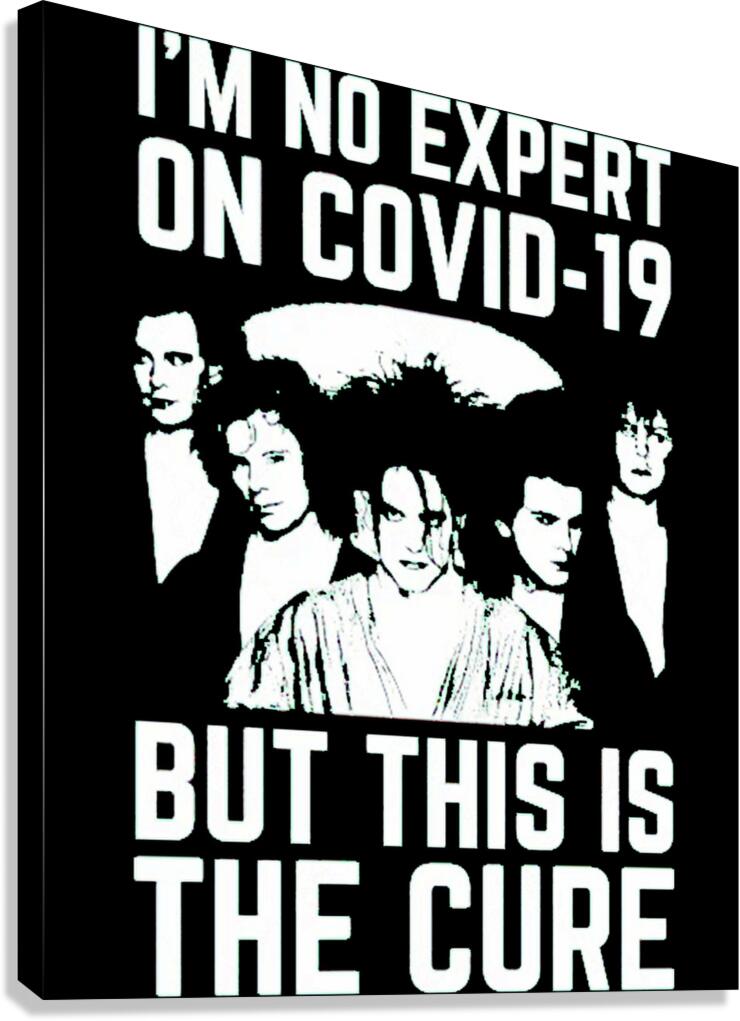 The Cure 42 Canvas Print