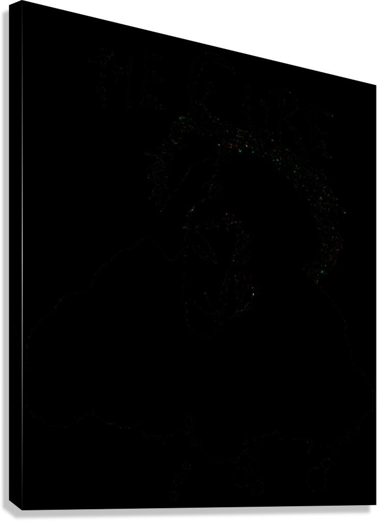 The Cure 43 Canvas Print