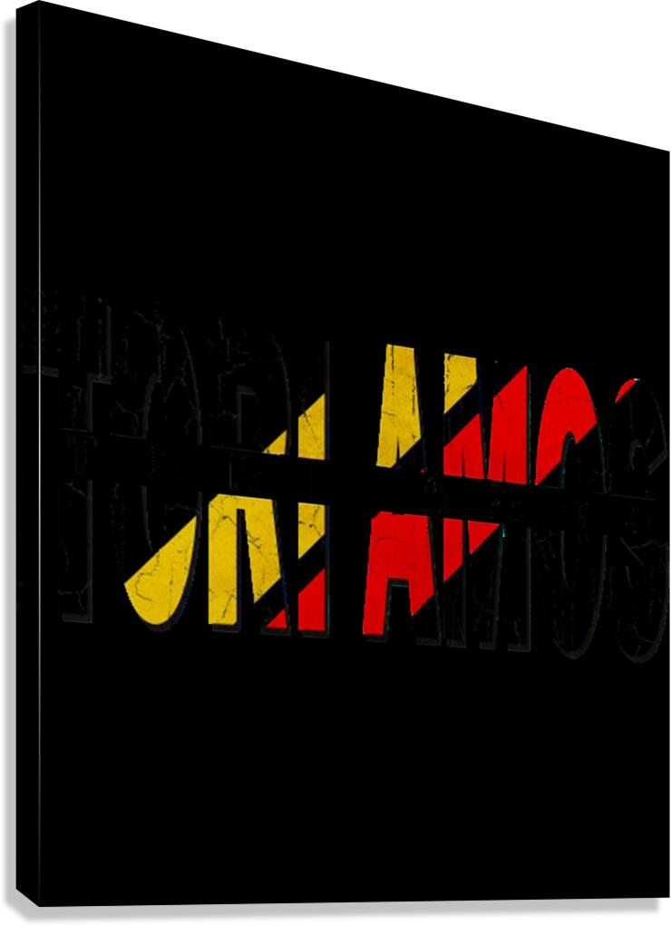 tori amos 8 Canvas Print