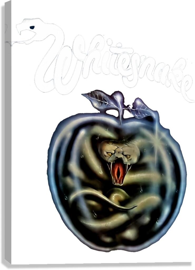 Whitesnake 48 Canvas Print