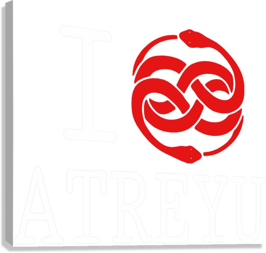 Atreyu 41 Canvas Print